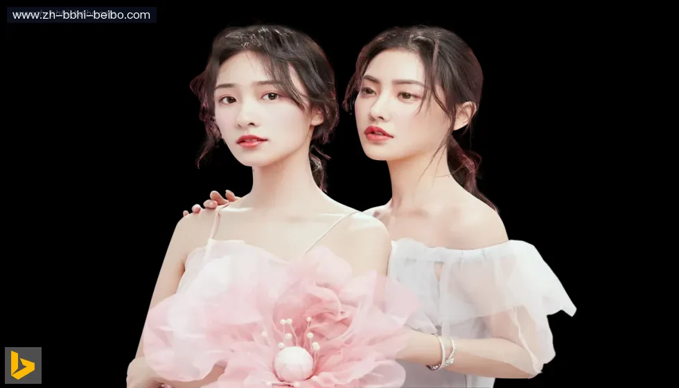 BB体育下载 banner