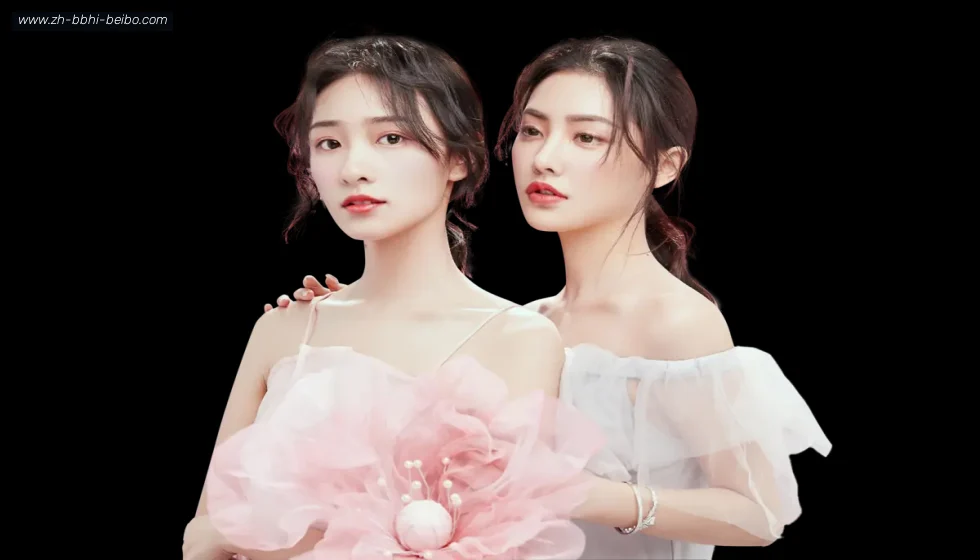 BB体育下载 banner