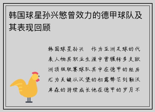 韩国球星孙兴慜曾效力的德甲球队及其表现回顾